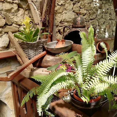Kristi Homestay *