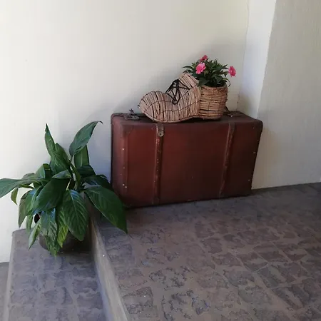 Homestay Kristi *